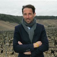 Nicolas BRUNEAU