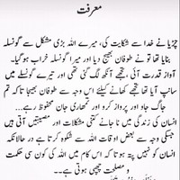 Muhammad Nadeem