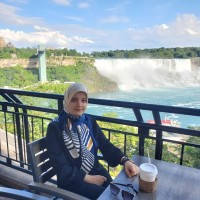 Sepideh Nilforoushan