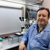 Pablo Marcelo Abregu