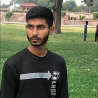 Muhammad Ameer Hamza