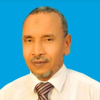alaa kamel