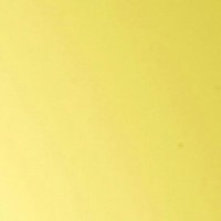 Versatile Software consultancy services