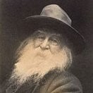 Martin Hammond