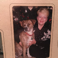 Vicki Brodbeck