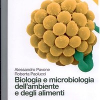 Alessandro Pavone