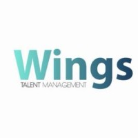 Consultor Ii Wings