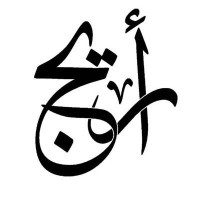 Areej Abu-Goaied