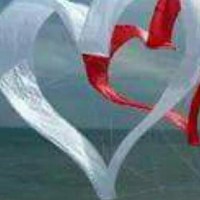 Adriano rocco fracasso