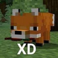 Extratxc Pro
