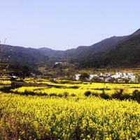 Yin Yin Huang