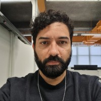 Carlos Eduardo Bayer