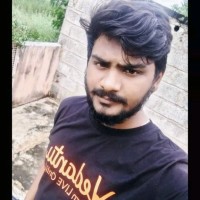 Ilayaraja S