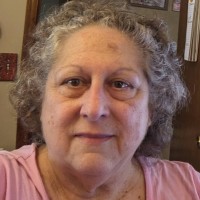 Karen Warnes