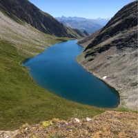 Alessandro Costante Riboni