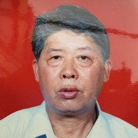 黄发松