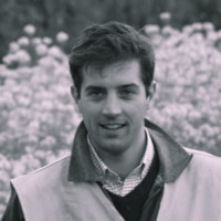 Thibault Delay
