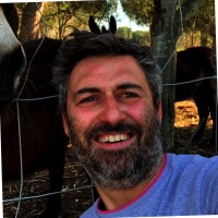 Raffaele Baldi