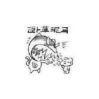 叶家成
