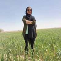 Zeinab Mahbobinejad