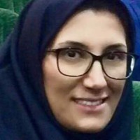 Pegah Tajer, Phd