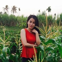 Linh Linh