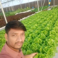 Vipin Jayaswal