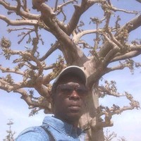 Daouda Sidibe