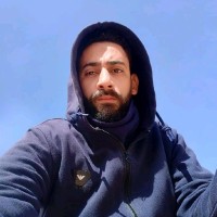 Mohamed Farid