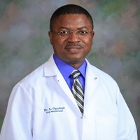 Afolabi Ogunleye
