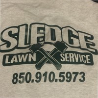 Daniel Sledge