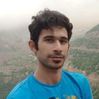 Arman Mobasher Amini