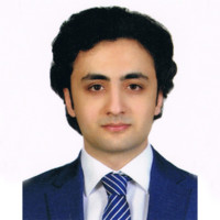 Seyed Shayan Sajjadinia