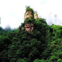 黄尧尧