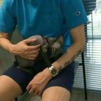 刘文旭