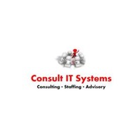 Consult It Systems, Inc.