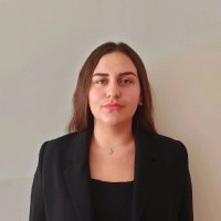 Aslı Ebrar Demi̇r