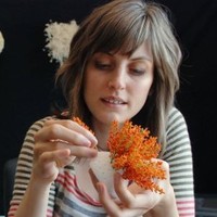 Krista Birnbaum