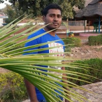 Pratap Reddy