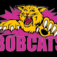 Bobcats Inline Hockey Club