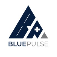 Blue Pulse Ltd