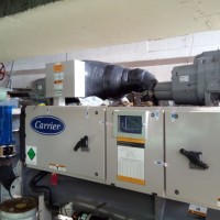 Ruy P. de Lemos Lemos