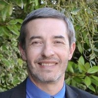 Pascal ALBERT •  Poly-Wood