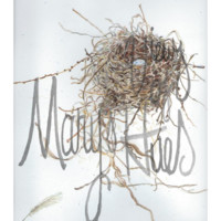Mary Carroll Allen