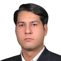 Mojtaba Nekouei