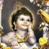 Sreeman Narayana
