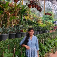 Divyamani Ganisetti