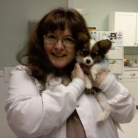Brenda Brandt