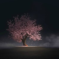 陈子鱼