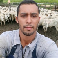Eduardo Henrique